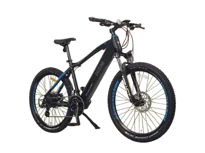 Full-size delivery e-bike